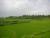 paysage sur le trajet : tres vert des rizieres de riz