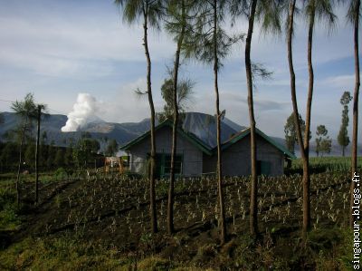habitation et culture près du volcan